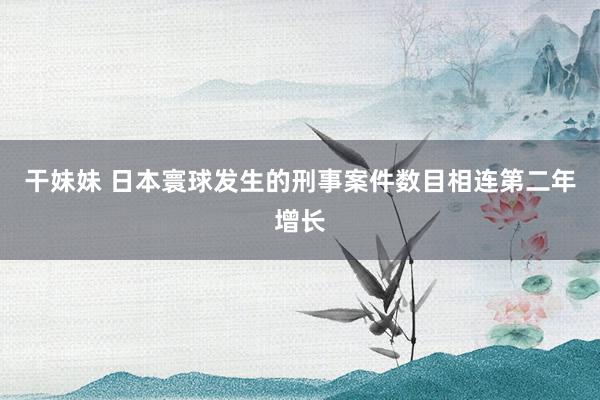 干妹妹 日本寰球发生的刑事案件数目相连第二年增长