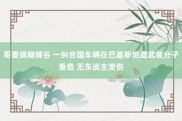 哥要搞蝴蝶谷 一纠合国车辆在巴基斯坦遭武装分子垂危 无东谈主受伤