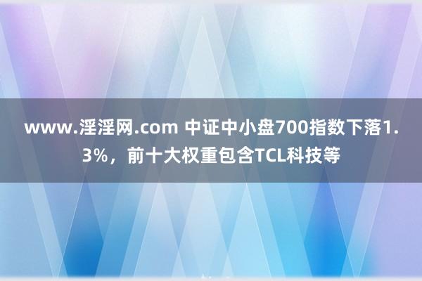 www.淫淫网.com 中证中小盘700指数下落1.3%，前十大权重包含TCL科技等