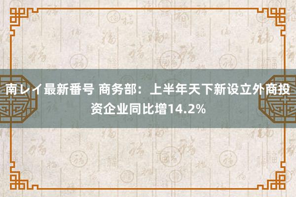 南レイ最新番号 商务部：上半年天下新设立外商投资企业同比增14.2%