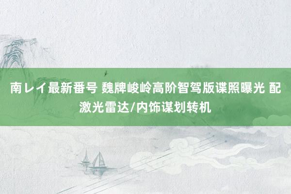 南レイ最新番号 魏牌峻岭高阶智驾版谍照曝光 配激光雷达/内饰谋划转机