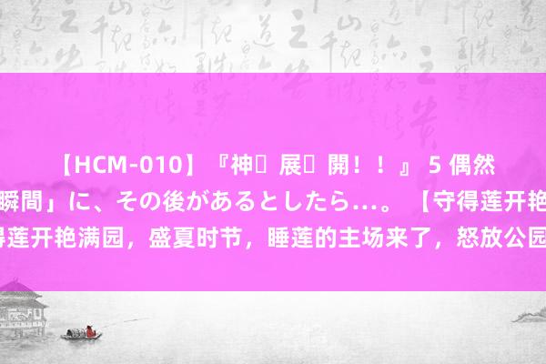 【HCM-010】『神・展・開！！』 5 偶然見かけた「目が奪われる瞬間」に、その後があるとしたら…。 【守得莲开艳满园，盛夏时节，睡莲的主场来了，怒放公园湖面营造夏令静谧