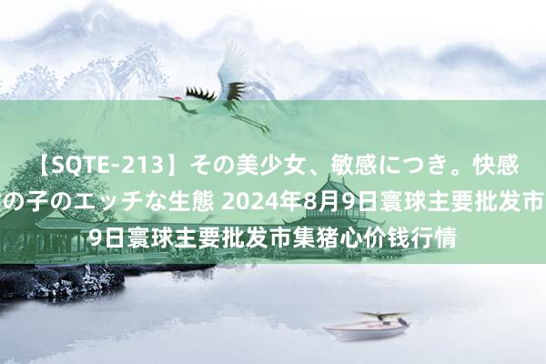 【SQTE-213】その美少女、敏感につき。快感が止まらない女の子のエッチな生態 2024年8月9日寰球主要批发市集猪心价钱行情