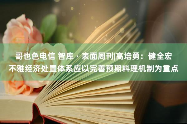 哥也色电信 智库 · 表面周刊|高培勇：健全宏不雅经济处置体系应以完善预期料理机制为重点