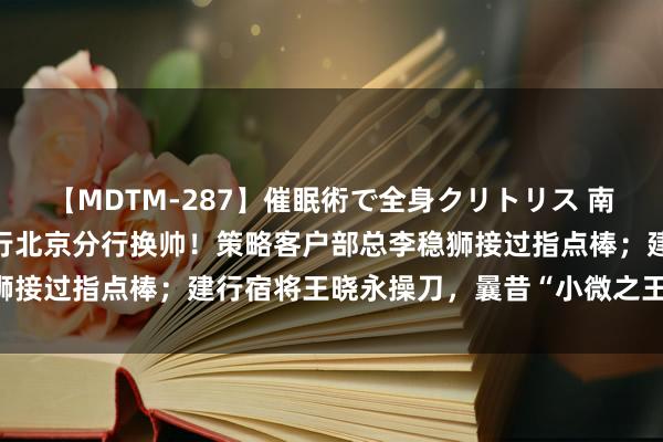 【MDTM-287】催眠術で全身クリトリス 南ゆき 7.8万亿世界性银行北京分行换帅！策略客户部总李稳狮接过指点棒；建行宿将王晓永操刀，曩昔“小微之王”治装待发？