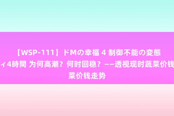 【WSP-111】ドMの幸福 4 制御不能の変態ボディ4時間 为何高潮？何时回稳？——透视现时蔬菜价钱走势