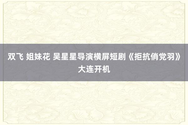 双飞 姐妹花 吴星星导演横屏短剧《拒抗俏党羽》大连开机