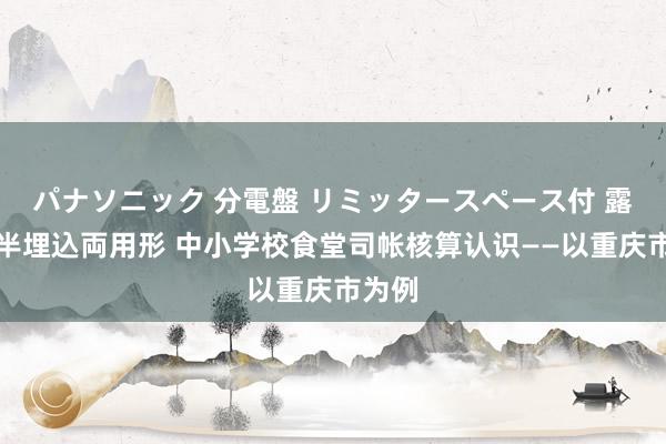 パナソニック 分電盤 リミッタースペース付 露出・半埋込両用形 中小学校食堂司帐核算认识——以重庆市为例