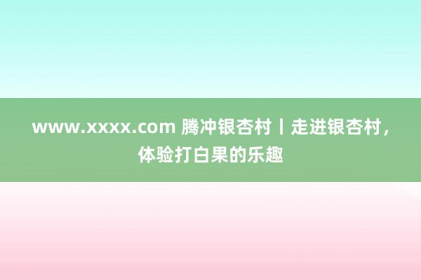 www.xxxx.com 腾冲银杏村丨走进银杏村，体验打白果的乐趣