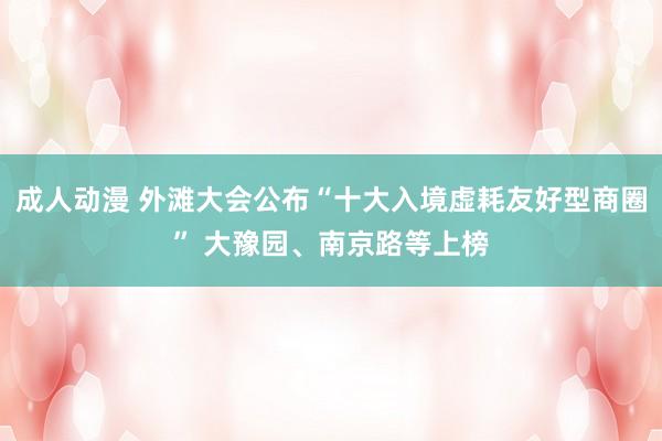 成人动漫 外滩大会公布“十大入境虚耗友好型商圈” 大豫园、南京路等上榜