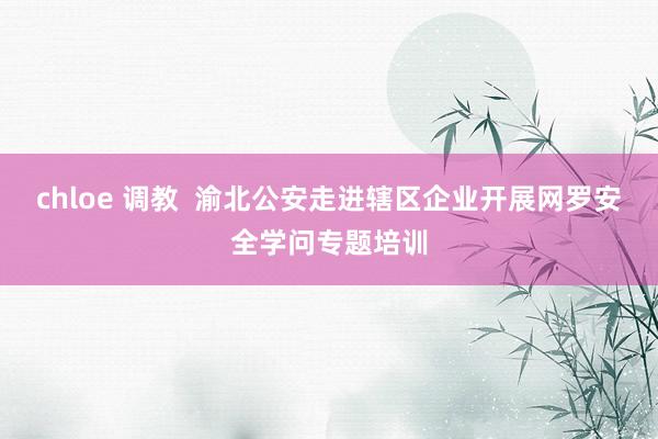 chloe 调教  渝北公安走进辖区企业开展网罗安全学问专题培训