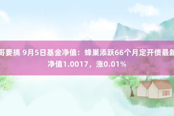 哥要搞 9月5日基金净值：蜂巢添跃66个月定开债最新净值1.0017，涨0.01%