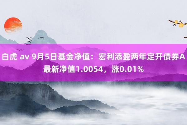 白虎 av 9月5日基金净值：宏利添盈两年定开债券A最新净值1.0054，涨0.01%