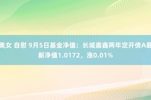 美女 自慰 9月5日基金净值：长城嘉鑫两年定开债A最新净值1.0172，涨0.01%