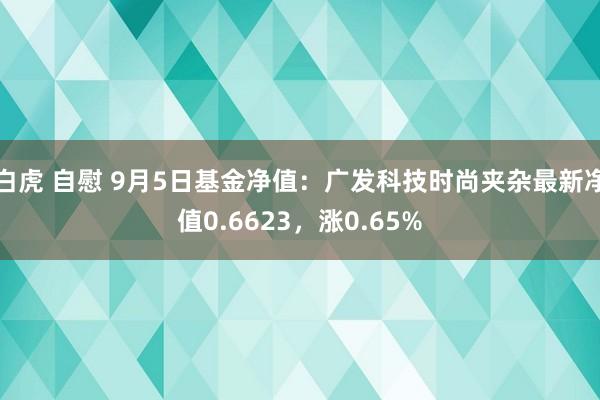 白虎 自慰 9月5日基金净值：广发科技时尚夹杂最新净值0.6623，涨0.65%