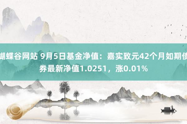 蝴蝶谷网站 9月5日基金净值：嘉实致元42个月如期债券最新净值1.0251，涨0.01%