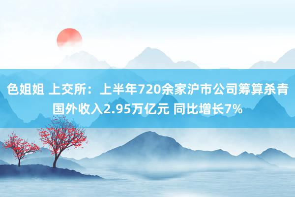 色姐姐 上交所：上半年720余家沪市公司筹算杀青国外收入2.95万亿元 同比增长7%