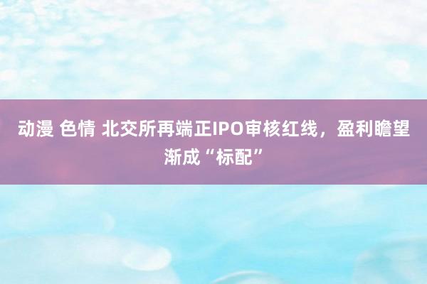 动漫 色情 北交所再端正IPO审核红线，盈利瞻望渐成“标配”