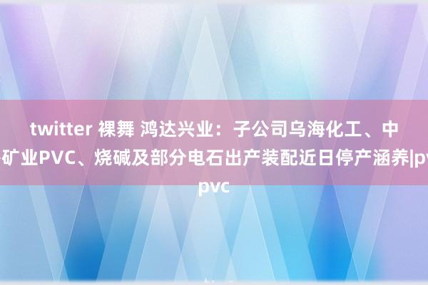 twitter 裸舞 鸿达兴业：子公司乌海化工、中谷矿业PVC、烧碱及部分电石出产装配近日停产涵养|pvc